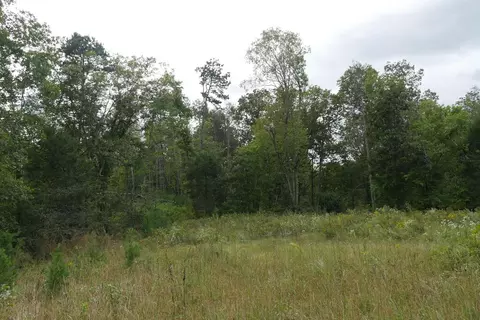 0 Brumley Gap Rd, Abingdon, VA 24210 photo 20