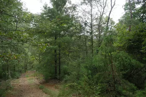 0 Brumley Gap Rd, Abingdon, VA 24210 photo 75