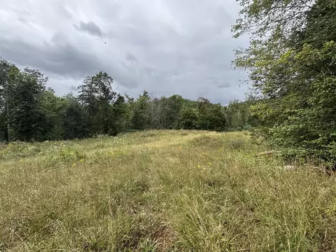 0 Brumley Gap Rd, Abingdon, VA 24210 photo 33