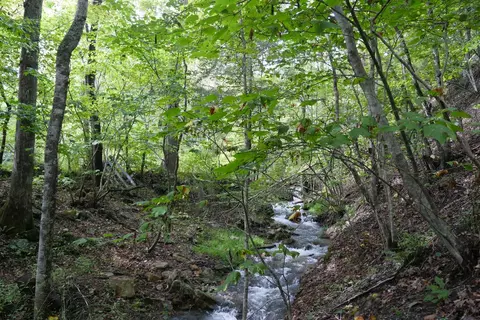 0 Brumley Gap Rd, Abingdon, VA 24210 photo 12
