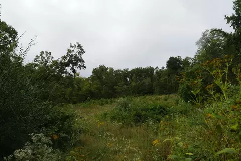 0 Brumley Gap Rd, Abingdon, VA 24210 photo 23