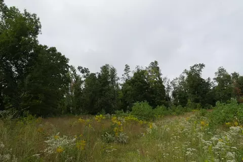 0 Brumley Gap Rd, Abingdon, VA 24210 photo 28
