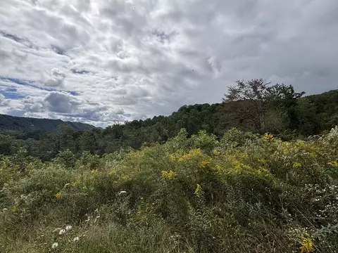 0 Brumley Gap Rd, Abingdon, VA 24210 photo 60