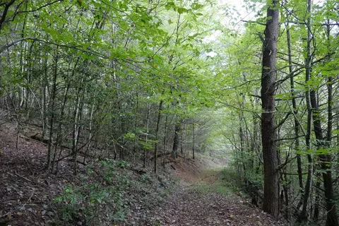 0 Brumley Gap Rd, Abingdon, VA 24210 photo 77