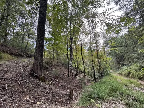 0 Brumley Gap Rd, Abingdon, VA 24210 photo 39