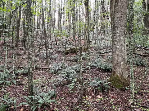 6486 Danville Pike, Hillsville, VA 24343