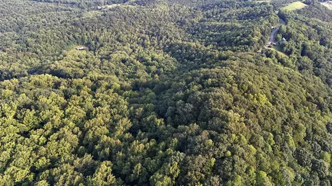 tbd Willis Gap Rd, Ararat, VA 24053 photo 9
