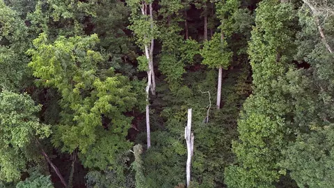 tbd Willis Gap Rd, Ararat, VA 24053 photo 6