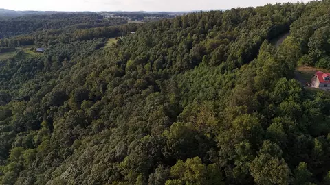 tbd Willis Gap Rd, Ararat, VA 24053 photo 14