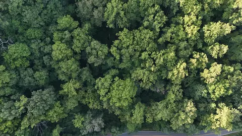 tbd Willis Gap Rd, Ararat, VA 24053 photo 8