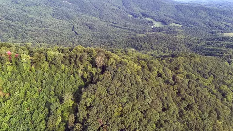 tbd Willis Gap Rd, Ararat, VA 24053 photo 15