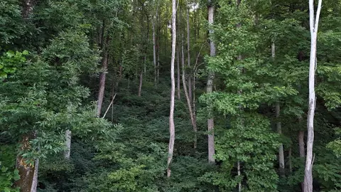 tbd Willis Gap Rd, Ararat, VA 24053 photo 5