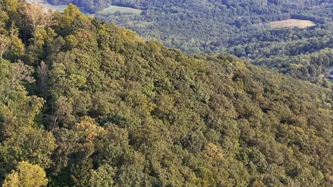tbd Willis Gap Rd, Ararat, VA 24053 photo 11