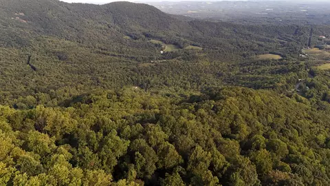 tbd Willis Gap Rd, Ararat, VA 24053 photo 10