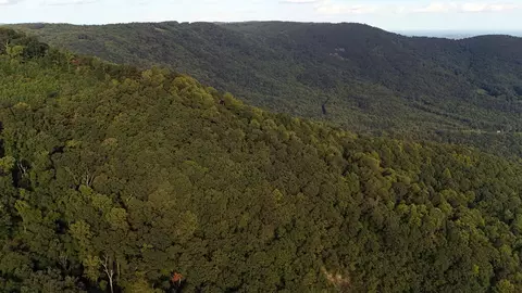 tbd Willis Gap Rd, Ararat, VA 24053 photo 16