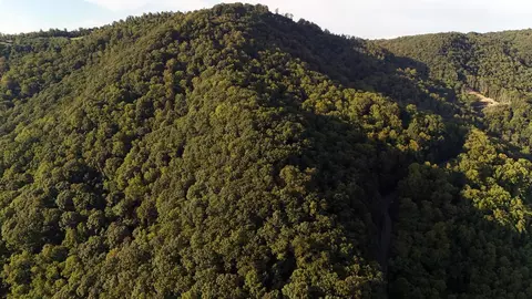 tbd Willis Gap Rd, Ararat, VA 24053 photo 17