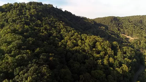 tbd Willis Gap Rd, Ararat, VA 24053 photo 3