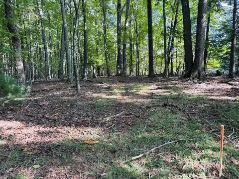lot10 Cove Ln, Woodlawn, VA 24381
