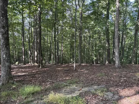 lot11 Cove Ln, Woodlawn, VA 24381