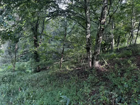 tbd Point Lookout Ln, Independence, VA 24348 photo 18