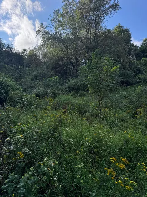 tbd Point Lookout Ln, Independence, VA 24348 photo 5