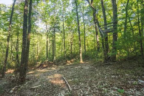tbd Gator Mountain Rd, Hiwassee, VA 24347