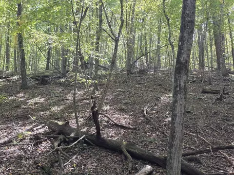 tbd Ridge Rd, Check, VA 24072 photo 8