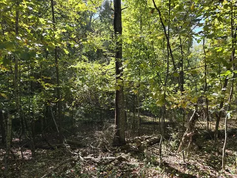 tbd Ridge Rd, Check, VA 24072 photo 7