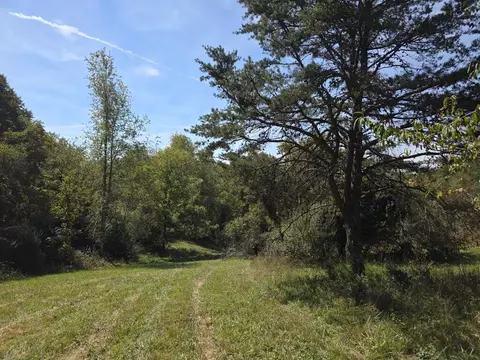 tbd Ridge Rd, Check, VA 24072 photo 24