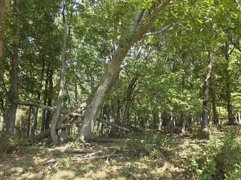 tbd Ridge Rd, Check, VA 24072 photo 17