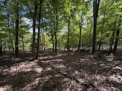 0 Salem Church Rd, Stuart, VA 24171 photo 7