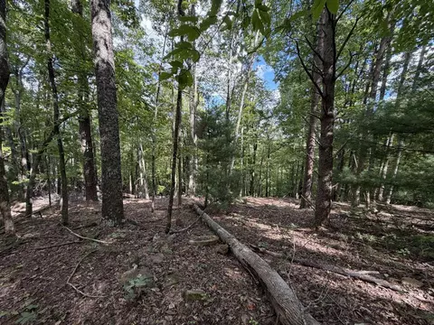 0 Salem Church Rd, Stuart, VA 24171 photo 11