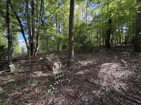 0 Salem Church Rd, Stuart, VA 24171 photo 8