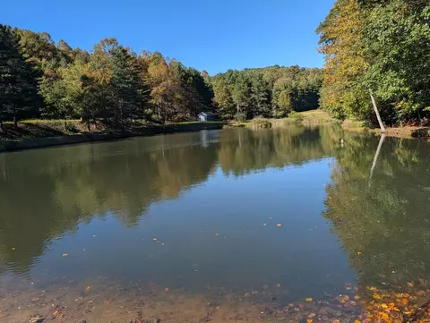 View/Area - 920 Cascade Trl, Fancy Gap, VA 24328 photo 8 of 10