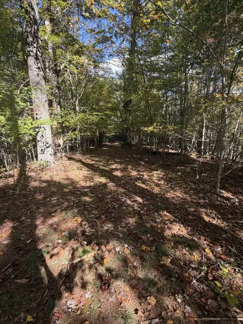 tbd Byllesby Rd, Ivanhoe, VA 24350 photo 8