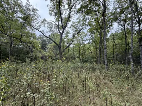 tbd Byllesby Rd, Ivanhoe, VA 24350 photo 19