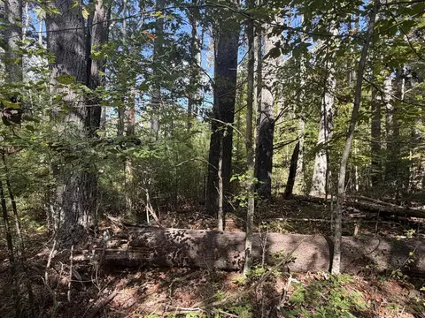 tbd Byllesby Rd, Ivanhoe, VA 24350 photo 6