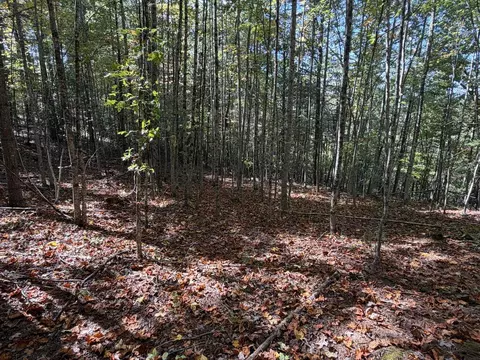 tbd Byllesby Rd, Ivanhoe, VA 24350 photo 10