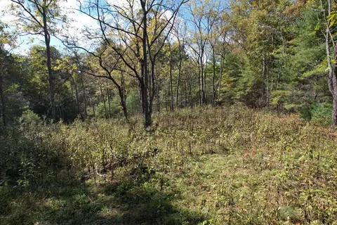 tbd Byllesby Rd, Ivanhoe, VA 24350 photo 5