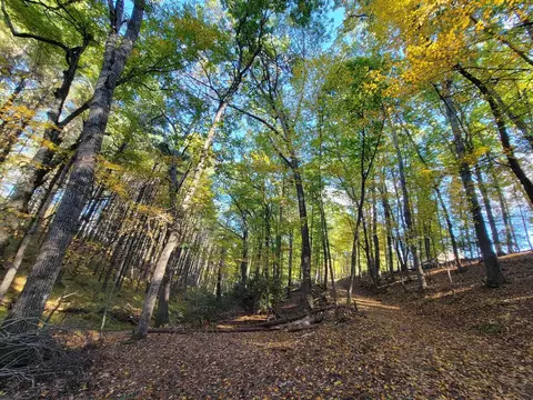 Exterior - 145 Klondike Rd, Independence, VA 24348 photo 6 of 26