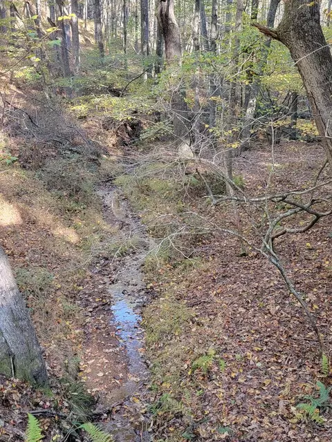Other - 145 Klondike Rd, Independence, VA 24348 photo 6 of 14