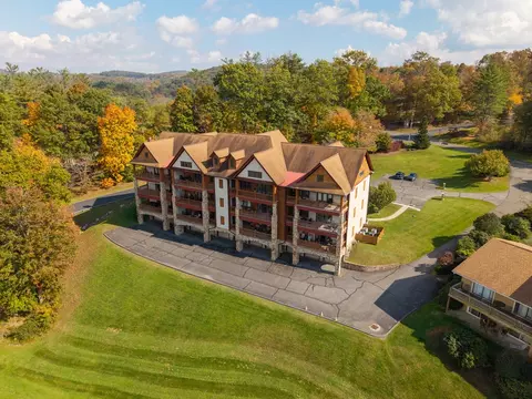 View/Area - 20 Golf Way UNIT J, Laurel Fork, VA 24325 photo 18 of 19
