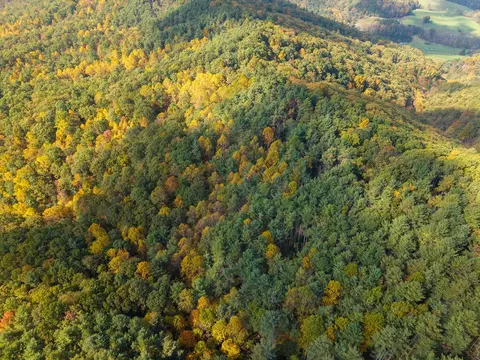 tbd Patch Rd, Ivanhoe, VA 24350 photo 37