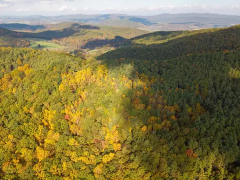 tbd Patch Rd, Ivanhoe, VA 24350 photo 39