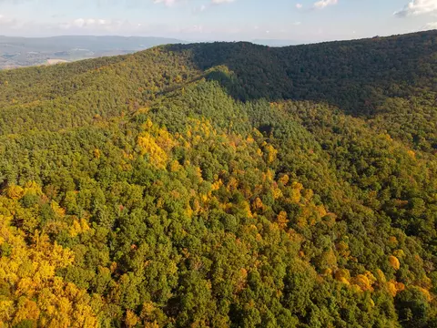 tbd Patch Rd, Ivanhoe, VA 24350 photo 27