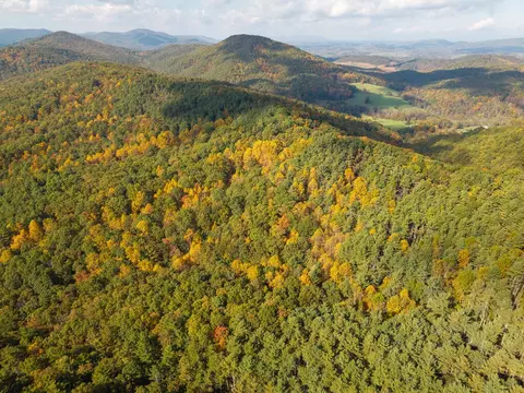 tbd Patch Rd, Ivanhoe, VA 24350 photo 33