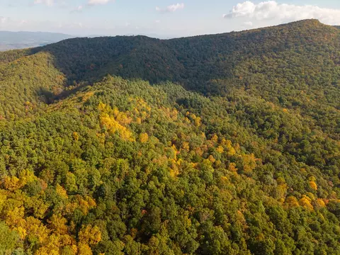 tbd Patch Rd, Ivanhoe, VA 24350 photo 26