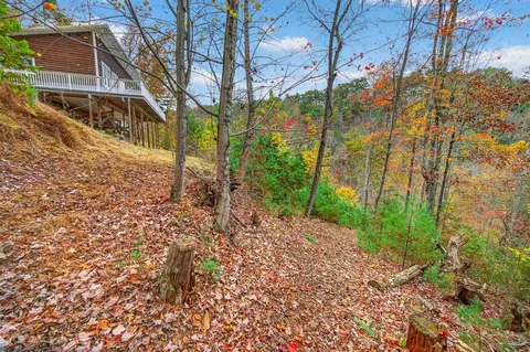 Exterior - 584 Buzzard Roost Ln, Max Meadows, VA 24360 photo 3 of 15