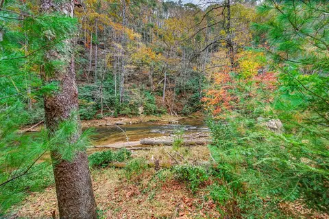 View/Area - 584 Buzzard Roost Ln, Max Meadows, VA 24360 photo 2 of 12