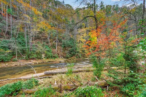 View/Area - 584 Buzzard Roost Ln, Max Meadows, VA 24360 photo 3 of 12